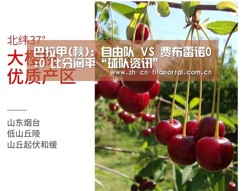 巴拉甲(秋): 自由队 VS 费布雷诺0:0 比分闷平“球队资讯”