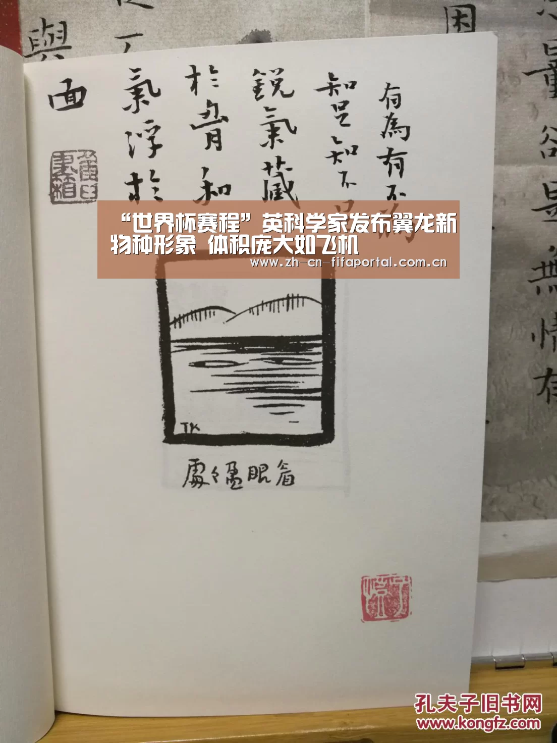 世界杯