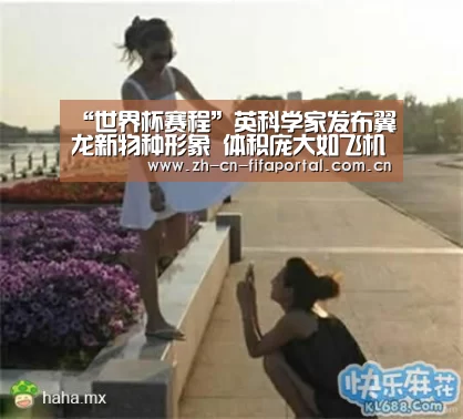 世界杯赛程