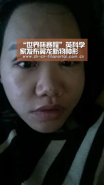 “世界杯赛程”英科学家发布翼龙新物种形象 体积庞大如飞机