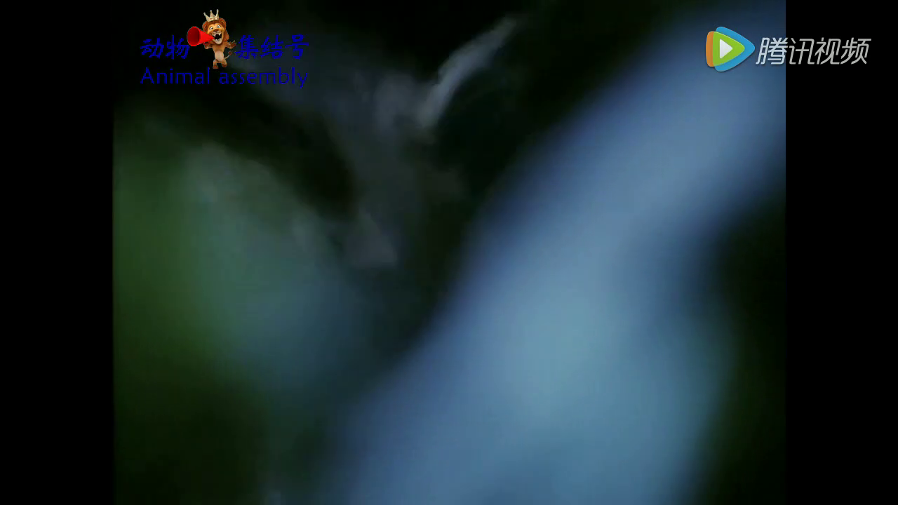世界杯赛程