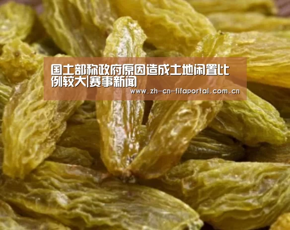 国土部称政府原因造成土地闲置比例较大|赛事新闻(图1) 世界杯赛程